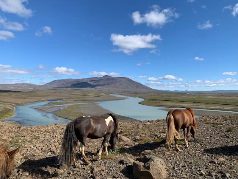 Kings trail - Image 4