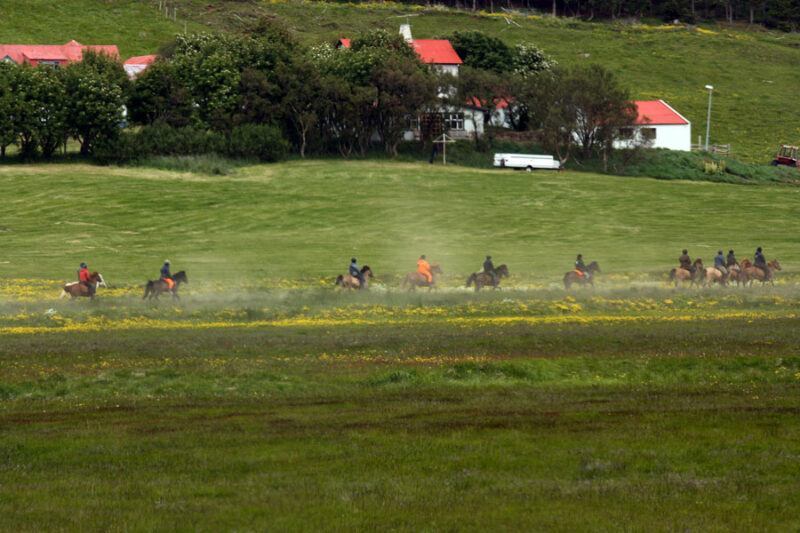 Riding Borgarnes - Image 3