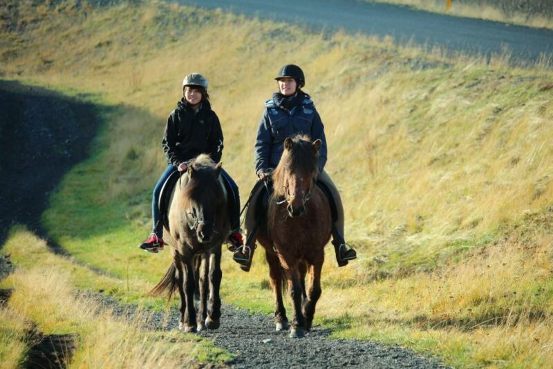 Pleasure in every hoofstep