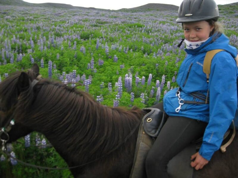 Ride at Skógar - Image 14