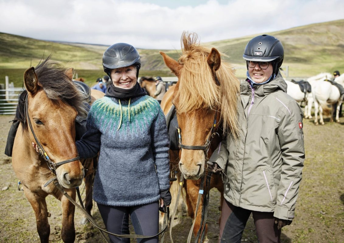 Tophorses