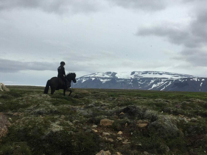 The Arctic North - Image 2