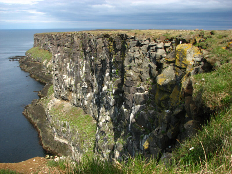 The Arctic North - Image 6