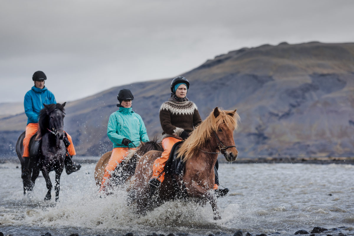 Tophorses