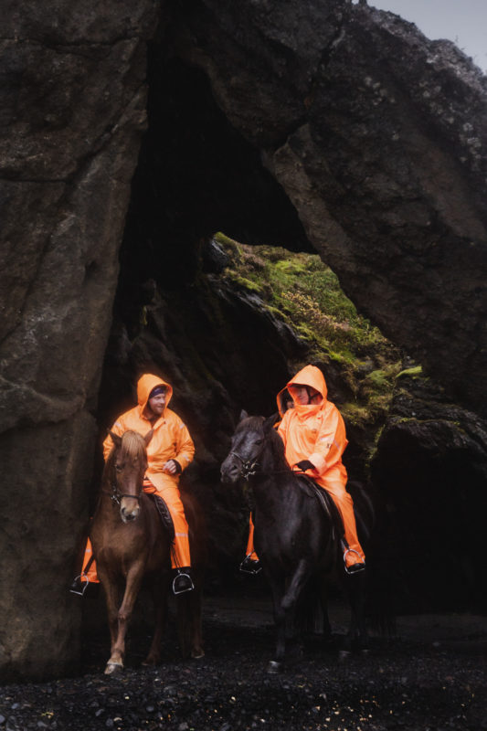 Tophorses