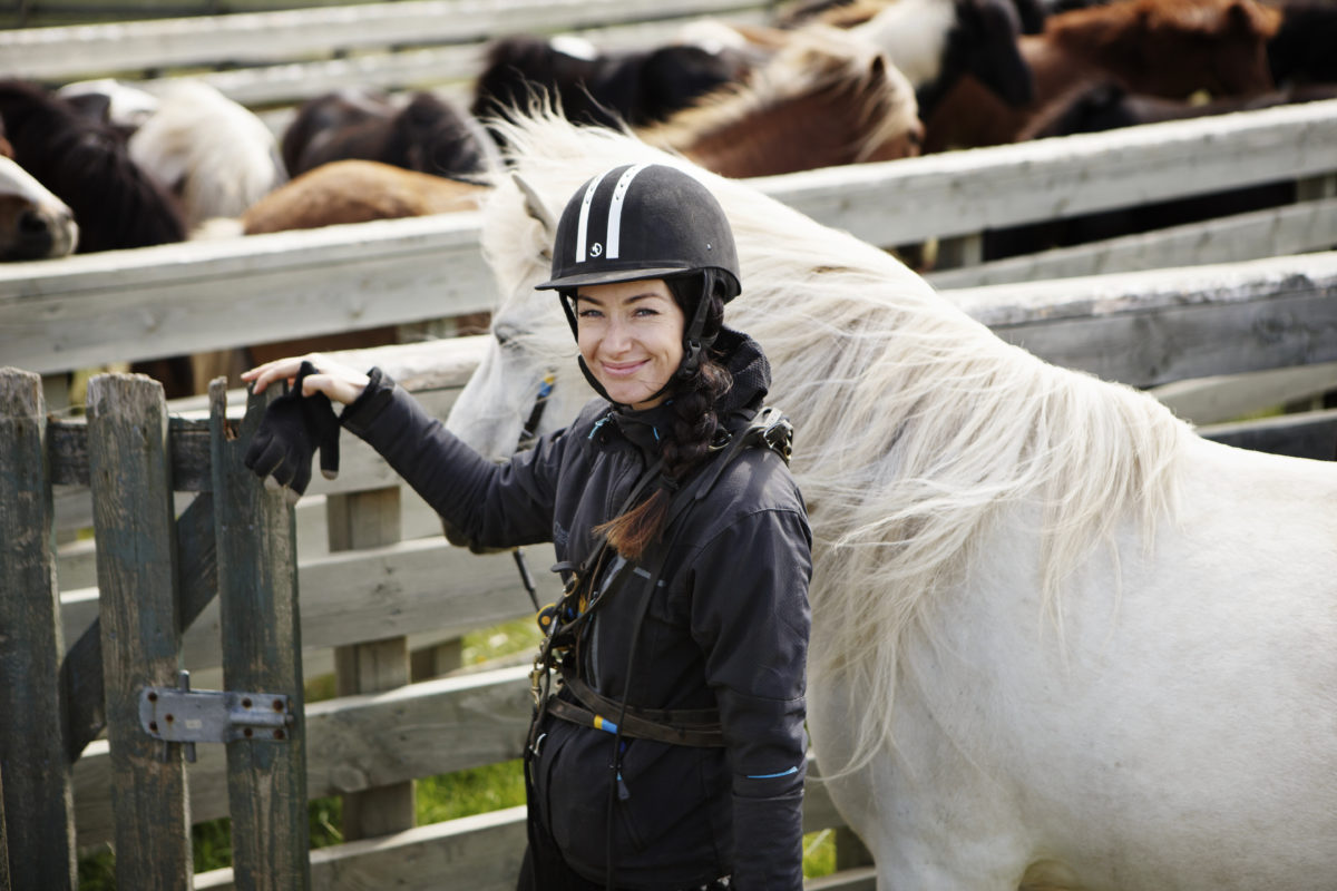 Tophorses