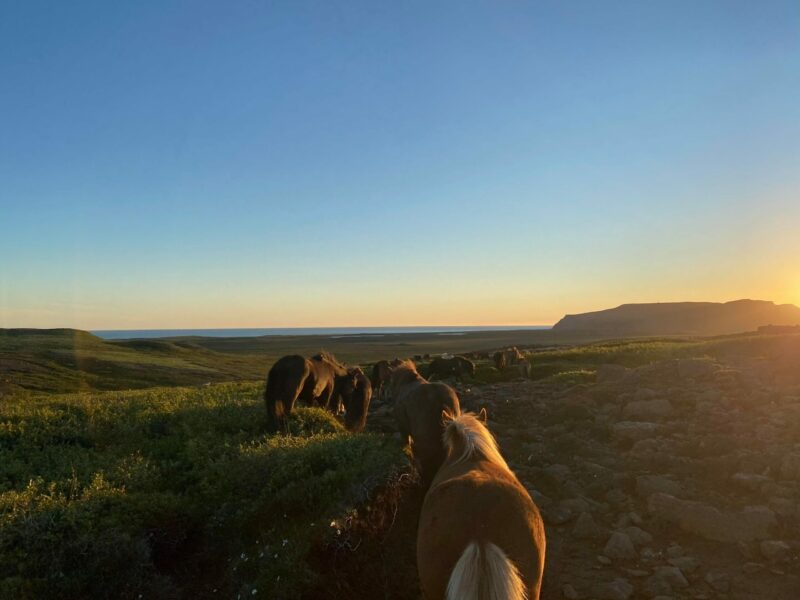 Under the mystique midnight sun - Image 3