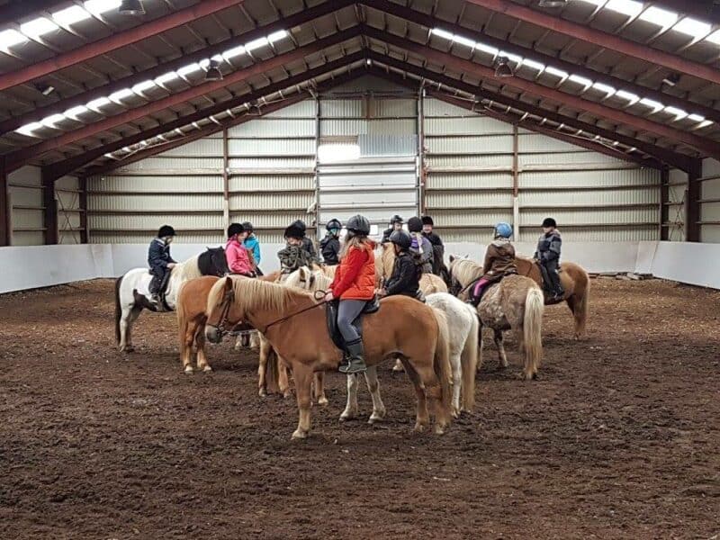 Farm visit to Hestaland