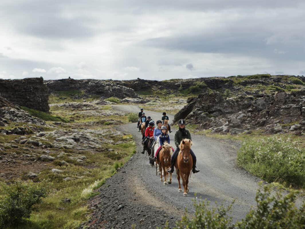 Tophorses