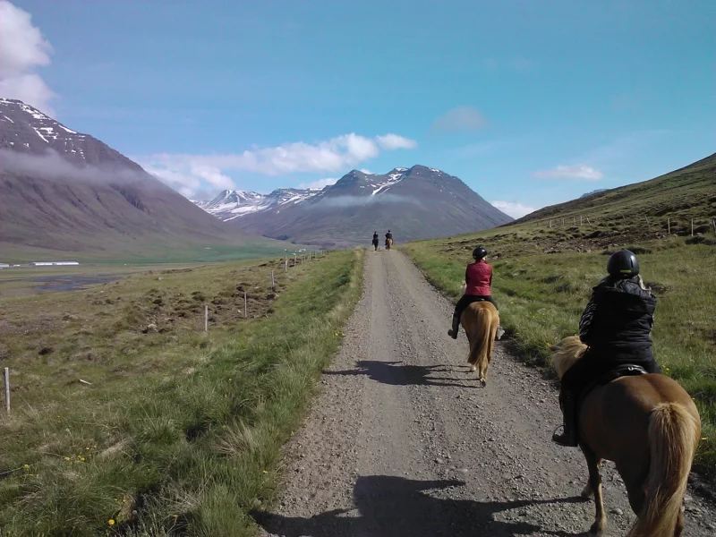 Borgarnes Trail Rides